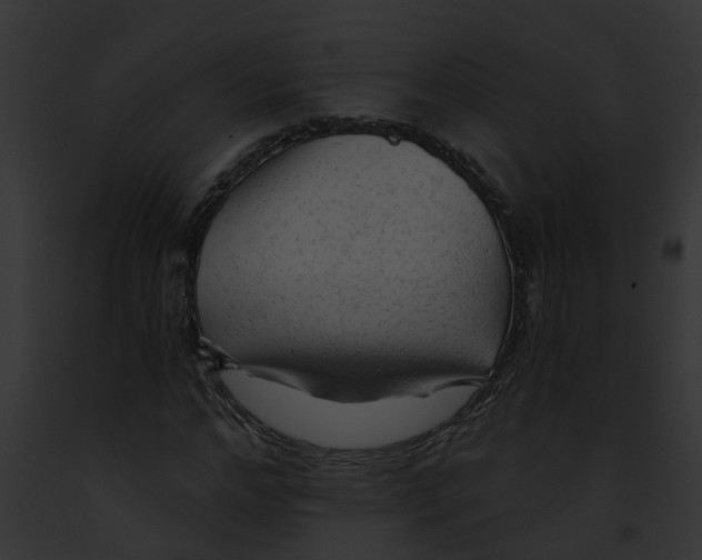 X0000091900968200710031159