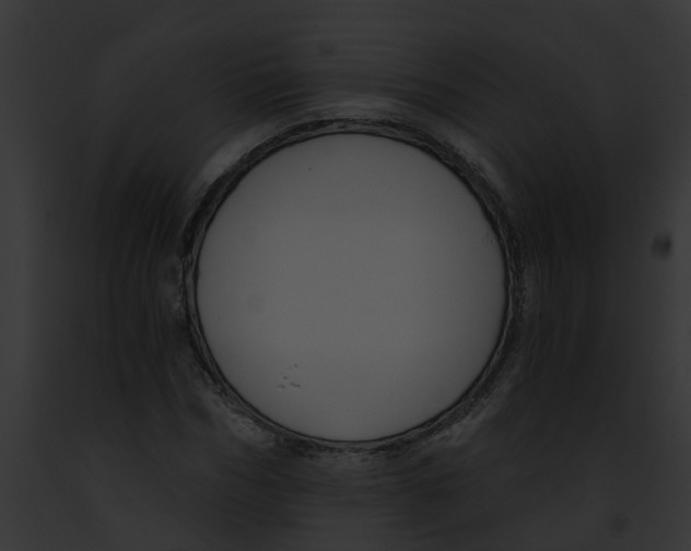 X0000091900970200710031159