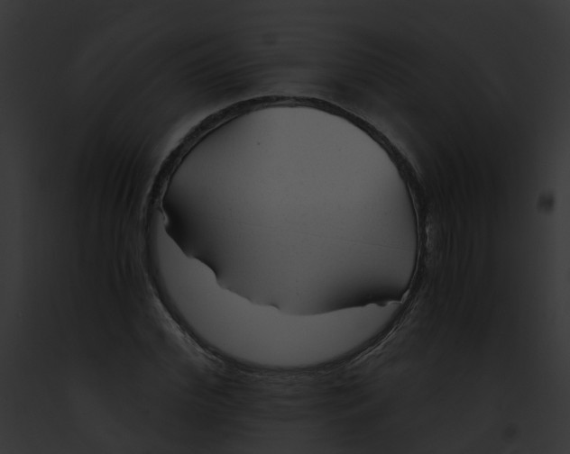 X0000091900972200710031159