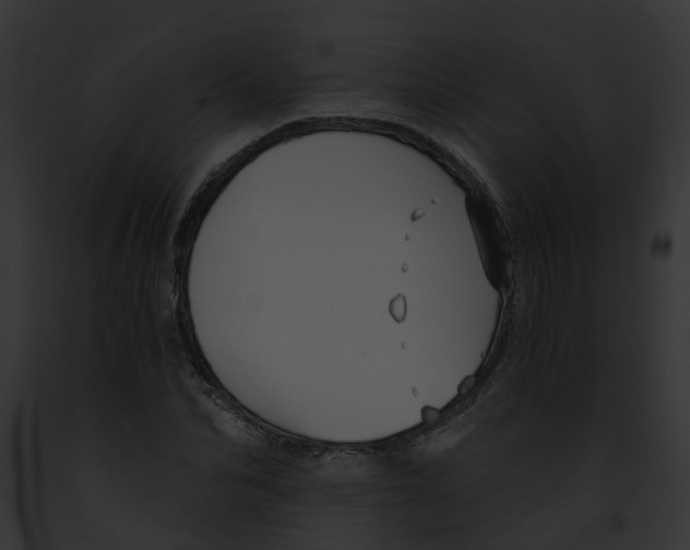 X0000091900974200710031158