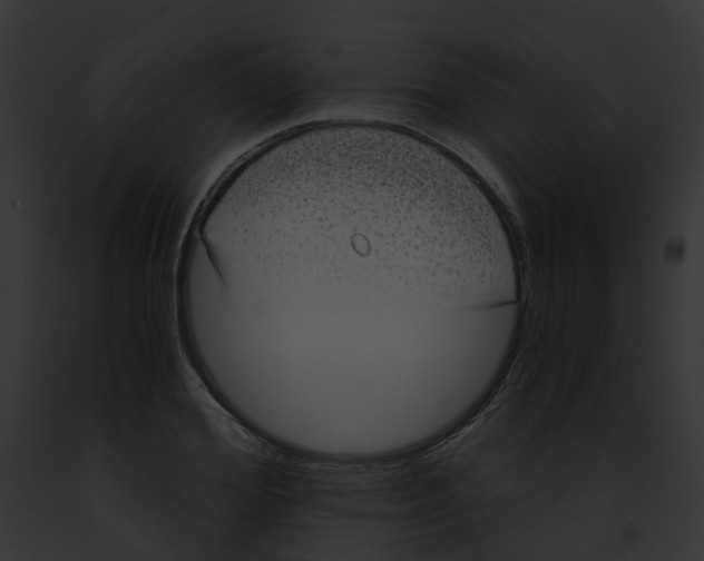 X0000091900980200710031158