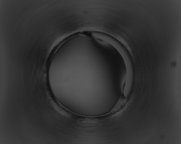 X0000091900981200710031158