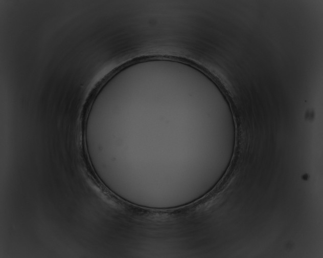 X0000091900982200710031158