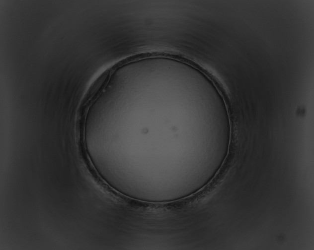 X0000091900983200710031158