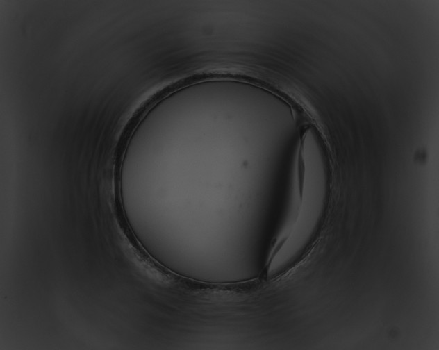 X0000091900984200710031158