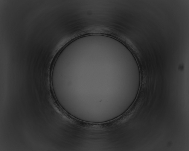 X0000091900986200710031158