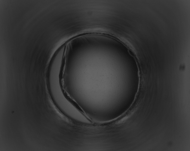 X0000091900989200710031158