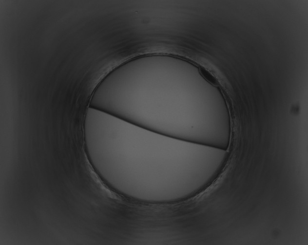 X0000091900993200710031158