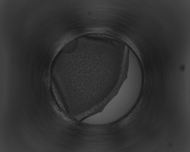 X0000091900994200710031158