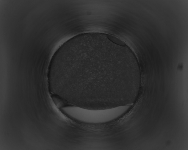 X0000091900995200710031158