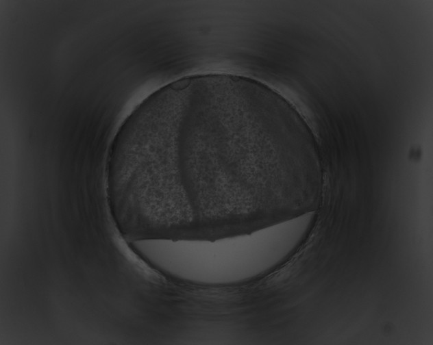 X0000091900998200710031158