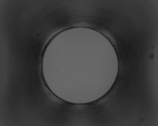 X0000091901000200710031158