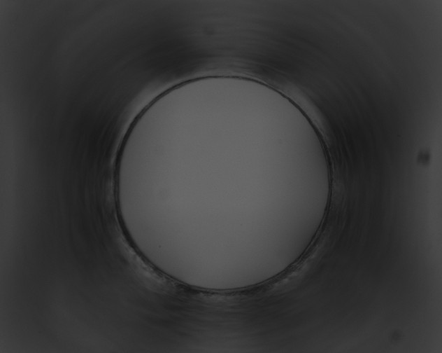 X0000091901004200710031158