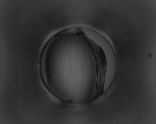 X0000091901005200710031158