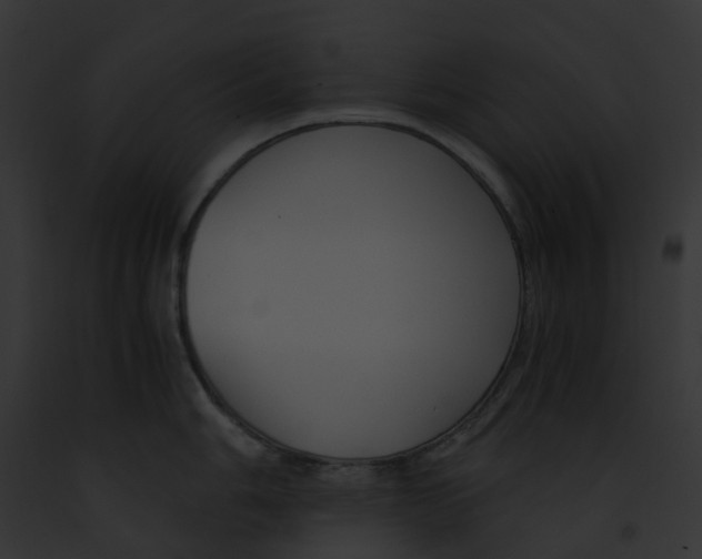 X0000091901006200710031158