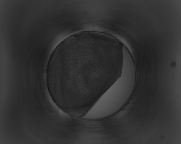 X0000091901007200710031158