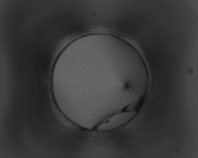 X0000091901008200710031158