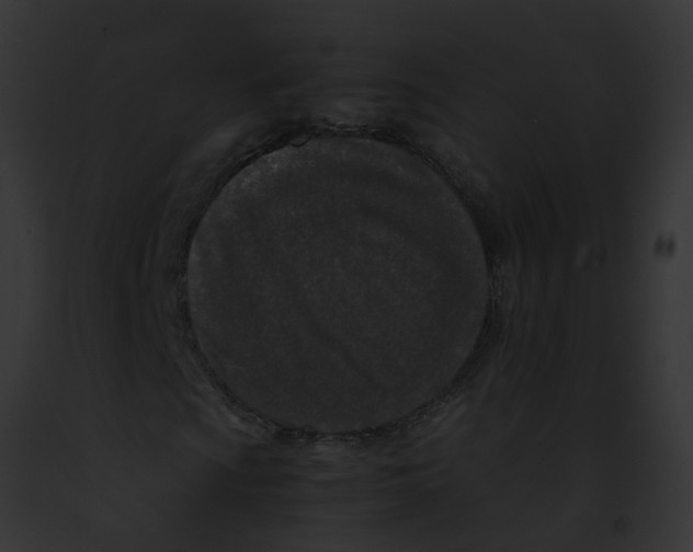 X0000091901009200710031157