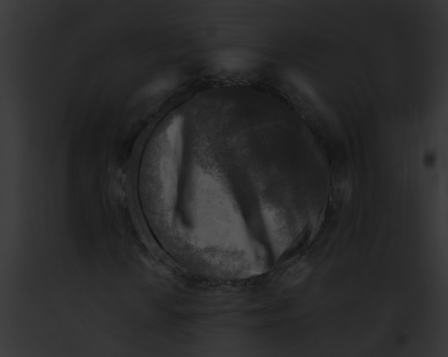 X0000091901010200710031157