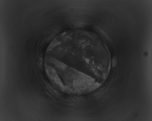 X0000091901011200710031157