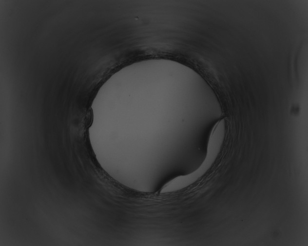 X0000091901012200710031157