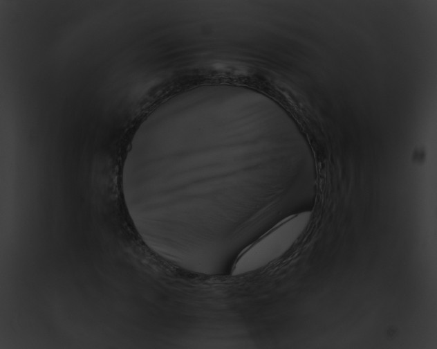 X0000091901013200710031157