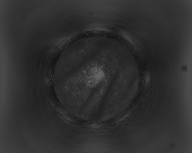 X0000091901014200710031157