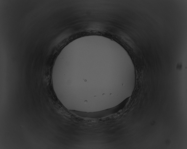 X0000091901015200710031157