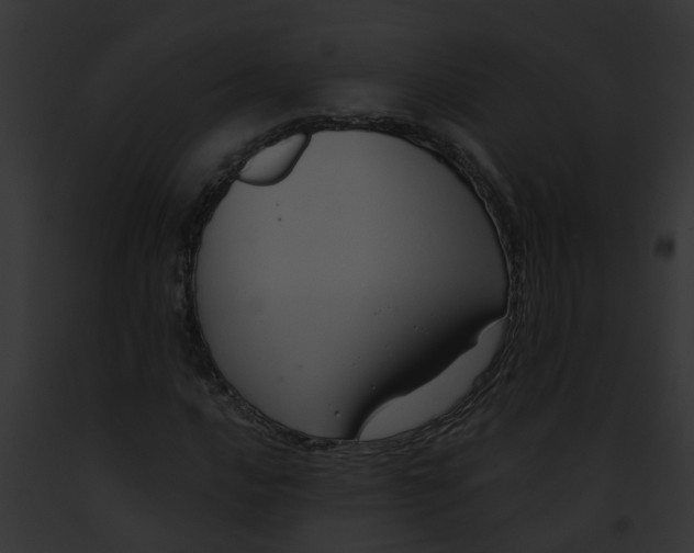 X0000091901016200710031157