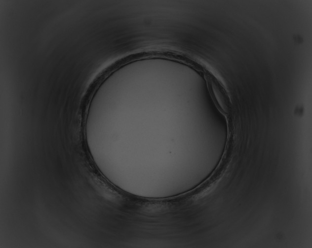 X0000091901021200710031157