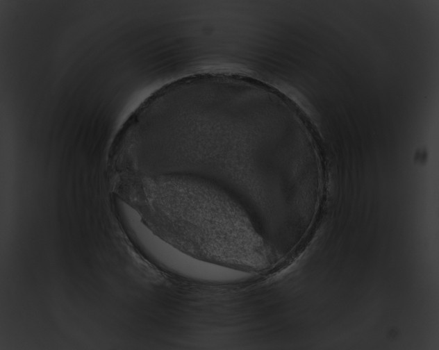 X0000091901022200710031157