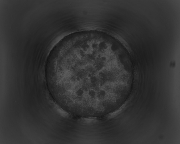 X0000091901023200710031157