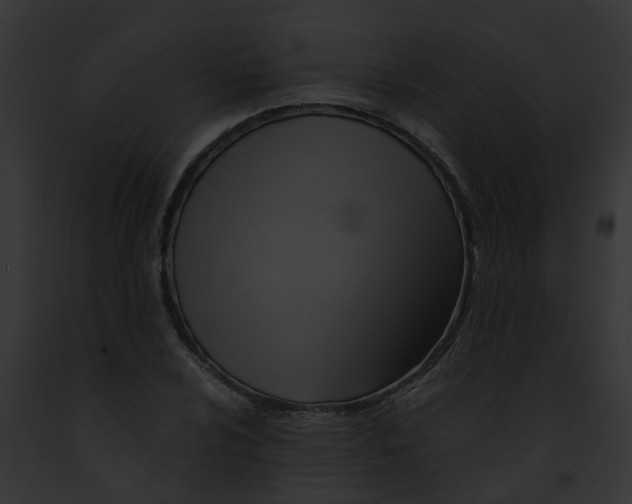 X0000091901024200710031157