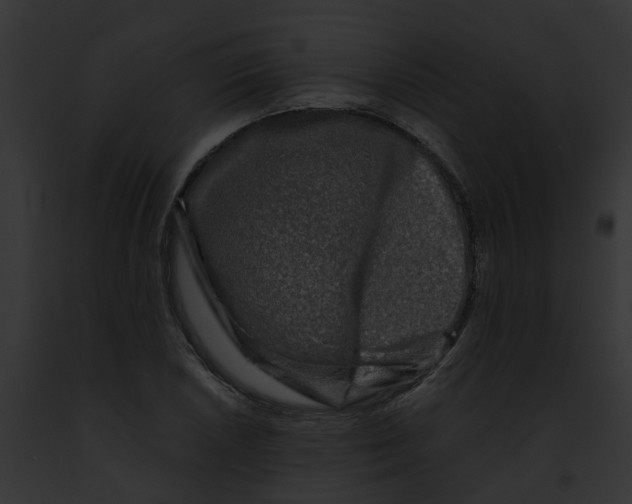 X0000091901026200710031157