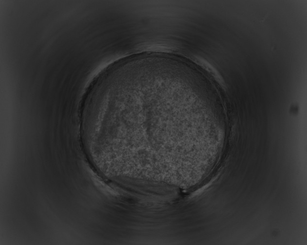 X0000091901027200710031158