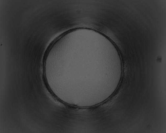 X0000091901028200710031158