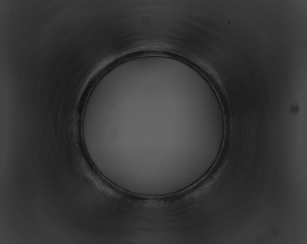 X0000091901029200710031158