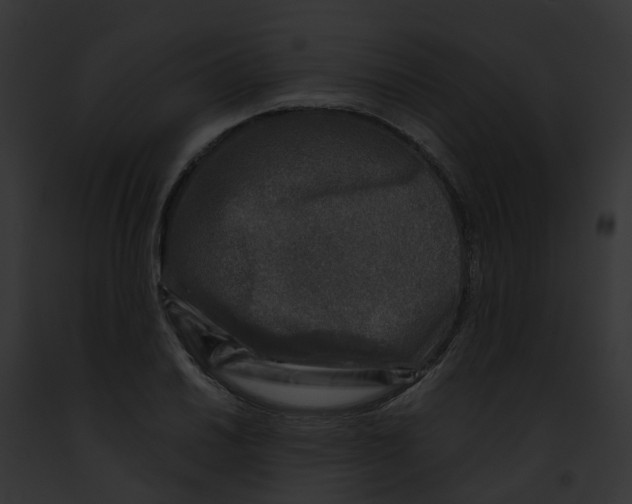 X0000091901030200710031158