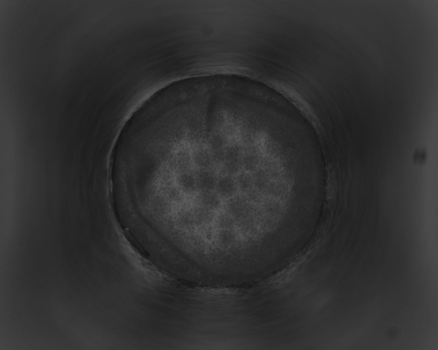 X0000091901031200710031158