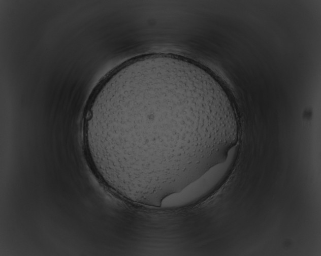 X0000091901032200710031158