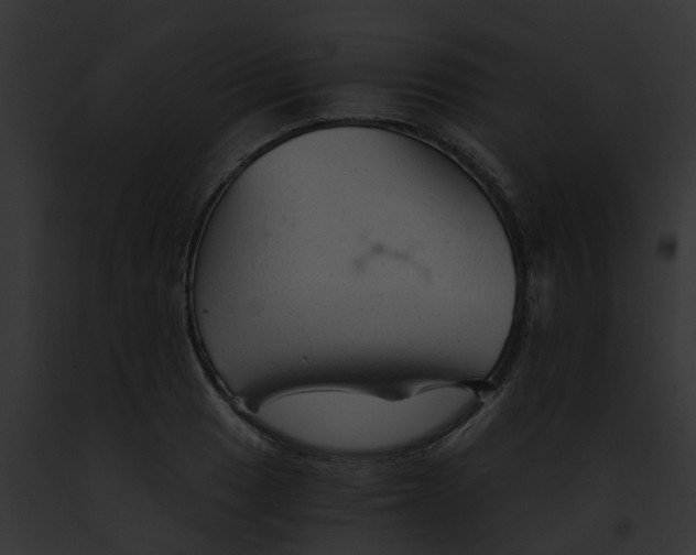 X0000091901033200710031158