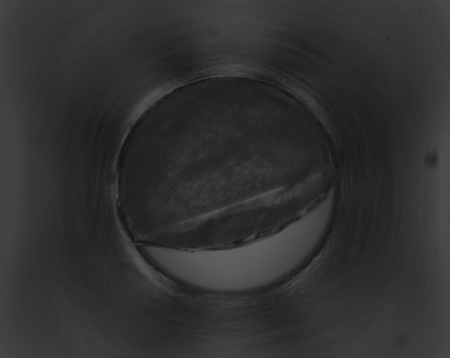 X0000091901034200710031158