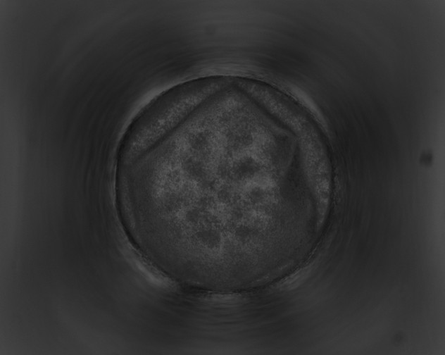 X0000091901035200710031158