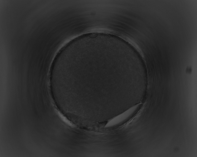 X0000091901037200710031158