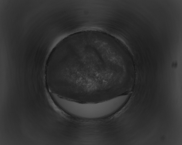 X0000091901038200710031158