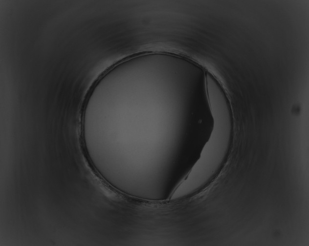 X0000091901040200710031158