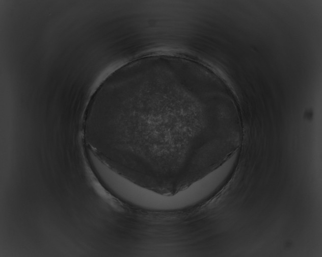 X0000091901042200710031158