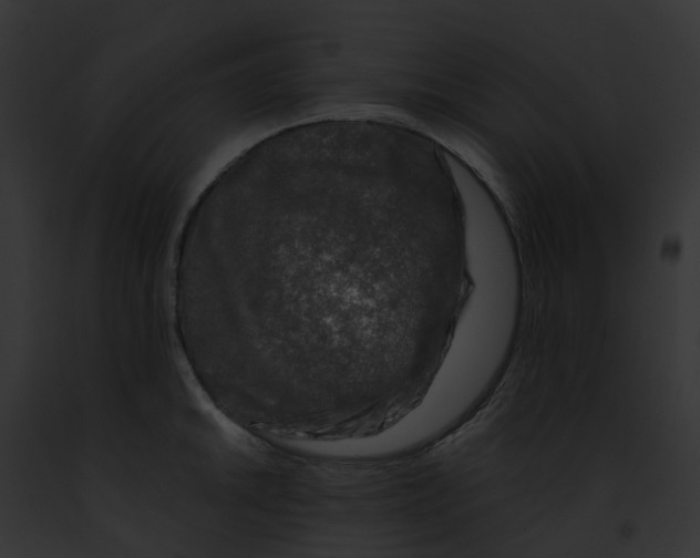 X0000091901046200710031158