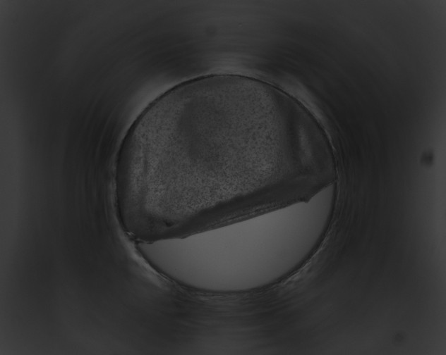 X0000091901048200710031158