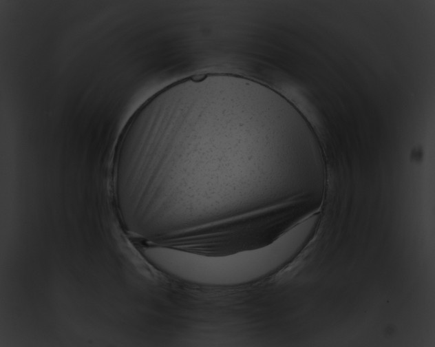 X0000091901052200710031158